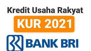 Bri ceria adalah aplikasi kredit online dari bank bri yang memberikan kredit limit buat pengguna yang dapat digunakan untuk belanja online di berbagai merchant. Syarat Daftar Pinjaman Online 2021 Kur Bri Klik Https Kur Bri Co Id Dapat Pinjaman Hingga 100 Juta Tribun Pontianak
