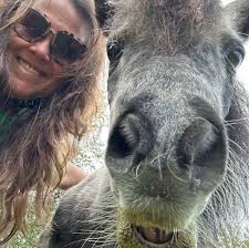 Remember in the Lion King when Scar cheated to win the title as king? And  the pride land was overrun with the hyenas? And all of the lions lost  everything they had