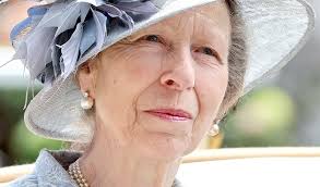 Kate Middleton Conspiracy Theories Change Princess Anne News