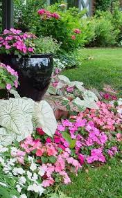 Vintage Shabby Pink Photo Shade Garden Design Shade Plants Plants