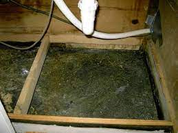 Mold is one of the most dreaded household discoveries, with horror stories on the news about black mold and health concerns. Mold Under Sink Diy Home Improvement Forum