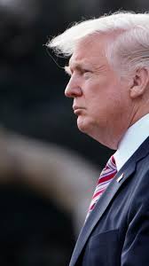 Who's in the White House? A look at the administration and their job  descriptions