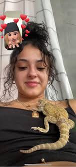 Yoshi chilling in his pen this morning