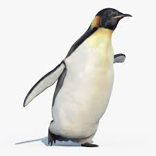 Emperor Penguin Fur Animated By Cgmobile High Detailed Photorealistic Emperor Penguin Fur Animated Modeling In 3ds Max 20 Emperor Penguin Animals Animation