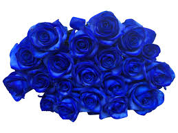 So lassen sich beispielsweise rankhilfen perfekt verkleiden. Blaue Rosen Bestellen Rosen Online Bestellen Bezahlbare Blumen De Bezahlbare Blumen De