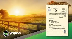 The difference is only in terms of the supporting. Blockchain And Land Title Registration Fighting Corruption And Inefficiency One Block At A Time By Veridoc Global Medium