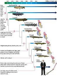 No Intelligent Design Only Evolution Formed The Life On Earth And Proofs Are Everywhere Around U Life Science Lessons Evolution Activities Theory Of Evolution