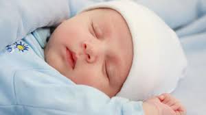 We did not find results for: Bayi Baru Lahir Tidur Terus Ibu Pakai Strategi Ini Saja Health Liputan6 Com