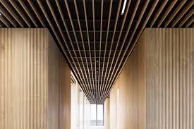 Modern wall panelling is all about bright colours. Decorative Panels For Walls And Ceilings Wood And Characteristics