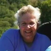 Debra Ann (Wiser) Newland Obituary