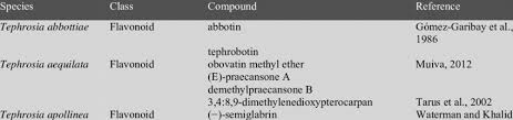 Image result for Tephrosia aequilata
