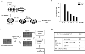 Run a search by name for anyone in colorado springs, colorado & get free white pages information instantly. A High Throughput Chemical Screen Identifies Novel Inhibitors And Enhancers Of Anti Inflammatory Functions Of The Glucocorticoid Receptor Scientific Reports