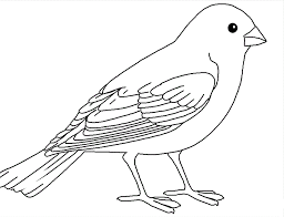 If you have the time and laminator machine i always recommend that you laminate this and all of our free worksheets for kids so they. Pictures Of Birds To Colour Coloring Home