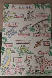 Pin By Mary Wallis On Classroom Bulletin Boards Rainforest Theme Rainforest Animals Rainforest