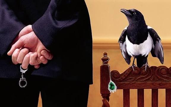 images?q=tbn:ANd9GcTBG9rDyslzTeds0iQ2qSV