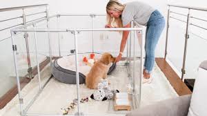 Check spelling or type a new query. Lucidium Dog Pens By Clearly Loved Pets Feature Acrylic Walls