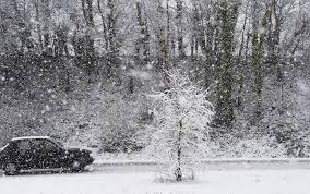 Seine, beige, pleine, neige, veine. Xu8v77sh956kmm