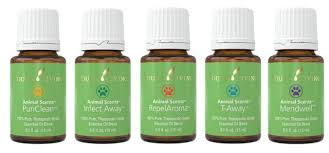 Aber wenn das ein bisschen zu wild wird, greife zu puriclean und helfe so, dein tier zu beruhigen. Animals And Essential Oils The Basics Lindsey Elmore