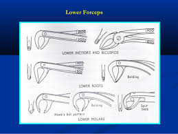 Rules Of Using Dental Forceps Elevator