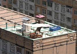Mai mulți petrecăreți amendați de oamenii legii. Si Au Amenajat O Piscina Pe Acoperisul Unui Bloc Din Capitala Din Cauza Lor 9 Etaje Trebuie Sa Sufere