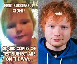 The funniest and best ed sheeran memes on the internet. Ed Sheeran Memes Edsheeran