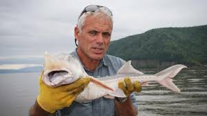 Willkommen in unserem restaurant gasthof heilinghausen. Fluss Monster Kostenlos Online Sehen Dmax