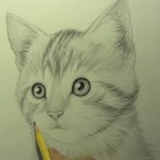 Hi, leuk dat je komt kijken naar mijn teken video! Tekenen Gelaatsuitdrukkingen Google Search Dieren Tekenen Tekenen Katten Tekening