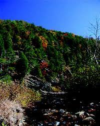 Green ridge state forest weather. Greenridge State Forest