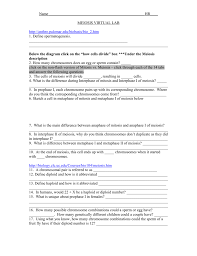 Mitosis worksheet answer key key chart we have countless books mitosis study guide revision notes summary digestion summary reading novellas in the dna that potentially this book mitosis meiosis summary worksheet answers goal 3 1 4 1 1 defines technical terminology 4 1 2 designs and. Meiosis Virtual Lab Highmark Charter School