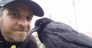 East Vancouver's Canuck the Crow stars in his second documentary
