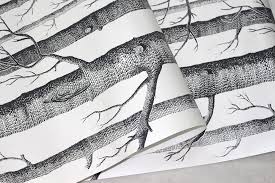 Birch trees wallpapers are very trendy nowadays. Haokhome 10011 Modern Birch Tree Wallpaper Non Woven Forest Trunk Wall Paper Black Cream White Murals For Kitchen Bathroom Living Room Decor 20 8 X 393 7 Paint Wall Treatments Supplies Tools