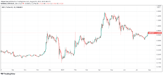 From the outside, the cryptocurrency investing universe seems limited to bitcoin. 5 Best Cryptocurrency To Buy For The Recovery August 2021 Week 1 Cardano Feed