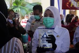 Anak pokok batai laut ini berusia enam tahun dengan ketinggian dua meter. Pokok Dukung Anak In English