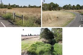 The problem with monocultures, wetzel said, is that if an insect likes the crop, that insect has a large food supply to draw from all in one place. Providing Habitats For Urban Insects Springerlink