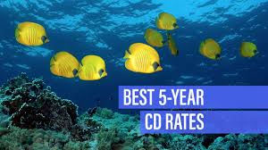 Best 5 Year Cd Rates For December 2019 Bankrate