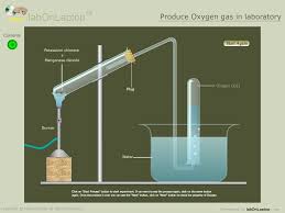 The hydrogen peroxide inhalation method from bill munro has been one of the most popular natural remedies on earth clinic for over 15 years. How To Make Oxygen Gas In Laboratry Brainly In