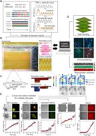 Filme, sport, muzica, documentare, desene animate, stiri. Ultra Multiplexed Analysis Of Single Cell Dynamics Reveals Logic Rules In Differentiation Science Advances