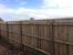Cat Proof Fence Topper