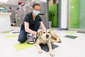 Maybe you would like to learn more about one of these? Links Aarcs