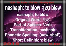 Nashaph To Blow Original Word נ ש ף Part Of Speech Verb Transliteration Nashaph Phonetic Spelling Naw Shaf Learn Hebrew Hebrew Vocabulary Hebrew Words