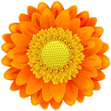 Orange Flower Clip Art Png Image Flower Clipart Flower Clip Clip Art