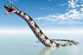 Ular paling terbesar di dunia. 3 Fakta Titanoboa Ular Purba Yang Juga Ular Terbesar Di Dunia Semua Halaman Intisari