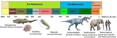 Eras Geologicas Viajero Del Tiempo Linea Del Tiempo Biologia Moderna