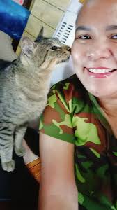 My cat watched the Lion King one too many times… #roar 🦁🐱🗣️✨