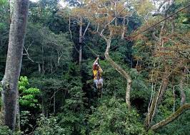 Mabira Forest - The Ugandan natural gem - Guide 2 Uganda