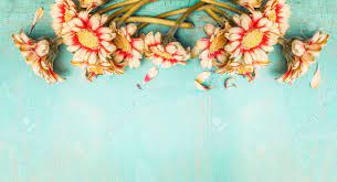 Check spelling or type a new query. Pretty Flowers On Turquoise Shabby Chic Background Top View Stock Photo Picture And Royalty Free Image Image 58221452