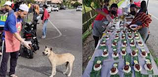 15 lokasi kedai nasi lemak popular dan sedap di lembah via hospital shah alam nicu nurse, hospital shah alam nicu awareness, hospital shah alam nicu novac, hospital shah alam nicu baby, umra hospital. Sarawak Nasi Lemak Stall Owner Who Fed Strays Now In Shah Alam Gives The Poor Free Food Life Malay Mail
