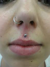 Pin On Emily S Piercing Portfolio