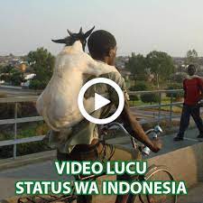 Gambar lucu bergerak untuk dp bbm, wa terbaru & unik. Video Lucu Status Wa Google Play Programos