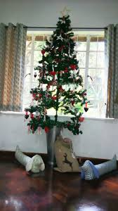 Lovely Tree At The Mango Patch Shop Decorated With Mango Patch Christmas Tree Decorations Christmas Tree Decorations Tree Decorations Christmas Tree